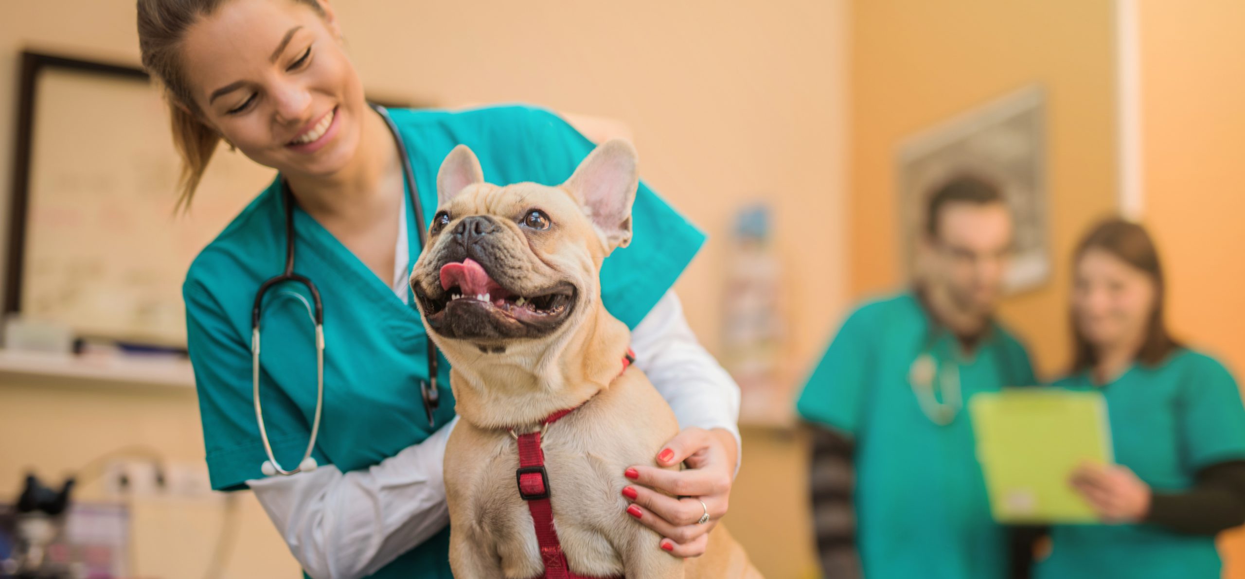 Veterinary Technology Program Receives Five-Year Reaccreditation
