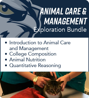 Animalcare mgmt 1